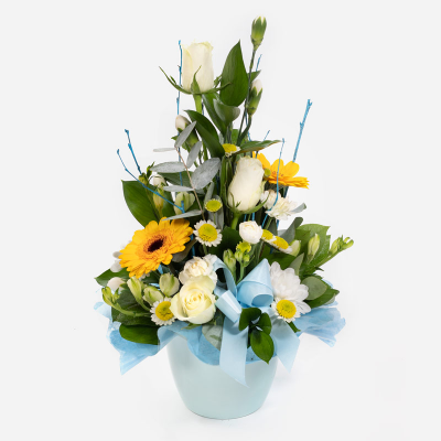 Baby Boy Pot  - A floral creation for the new addition, made up of blooms in shades of yellow and white. Container may vary